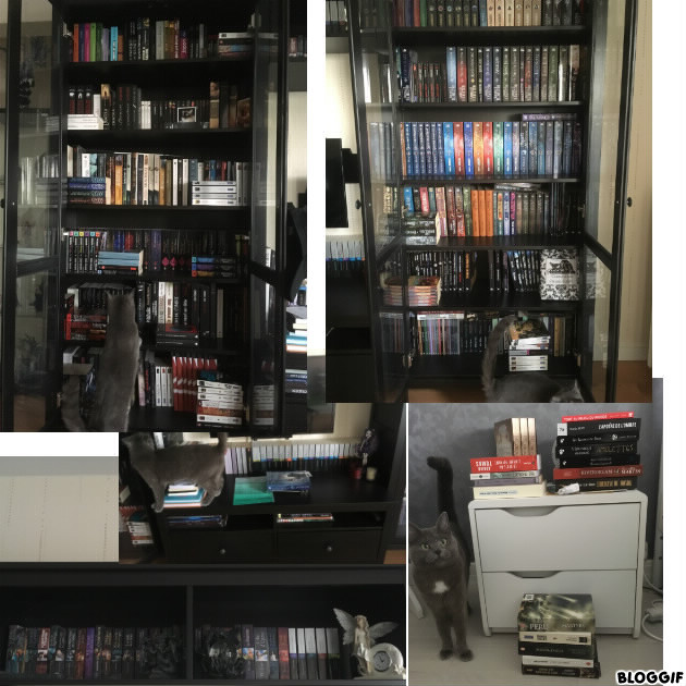 bloggif_59037248946ba